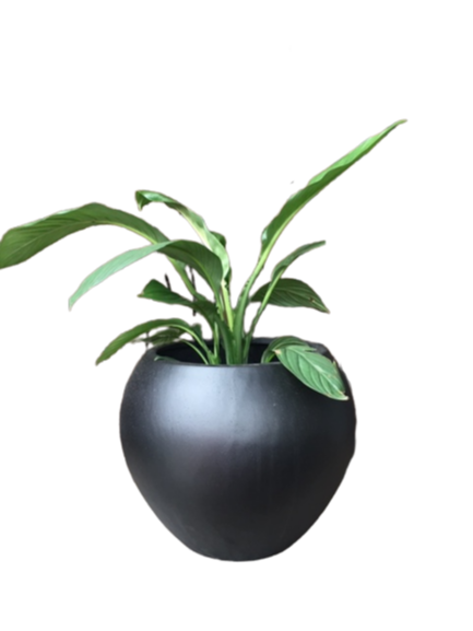Evie Pot Black